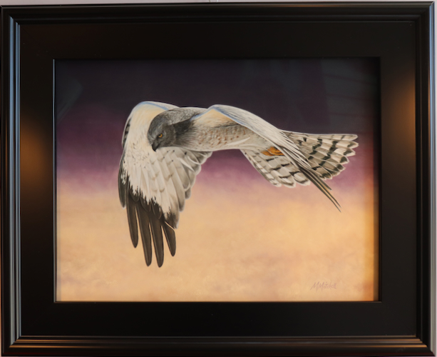 Click to view detail for Gray Ghost 12x16 $990